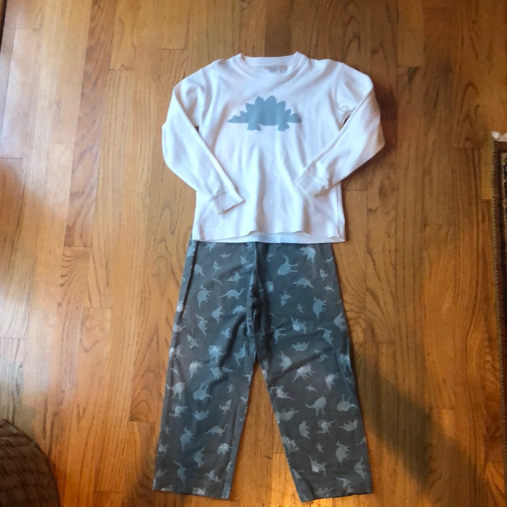 Hannah Kate dinosaur outfit